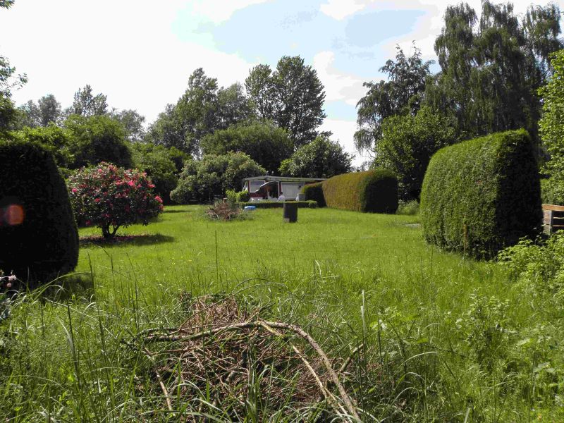 Unser Garten / g_3_0_p6020011-1.jpg